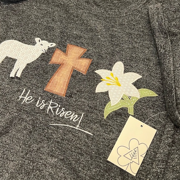 HE IS RISEN Shirt * Soft & Stretchy Top size XXL Ladies Teens LAMB CROSS ORCHID - Picture 8 of 10